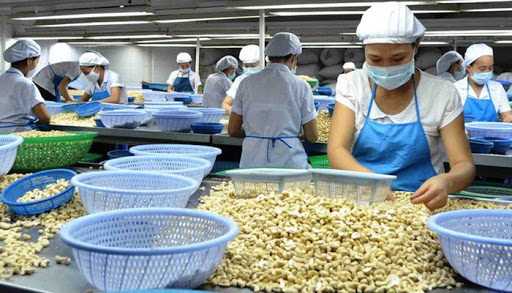 Nhật Bản ngày càng chuộng hàng nông sản Việt